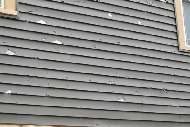 Best Siding Painting and Refinishing  in Grant, AL