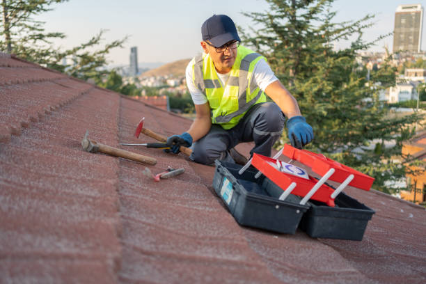 Best Siding Replacement  in Grant, AL