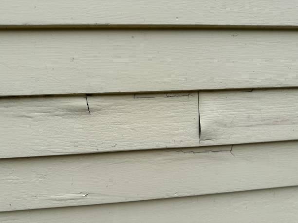 Professional Siding Installation & Repair in Grant, AL